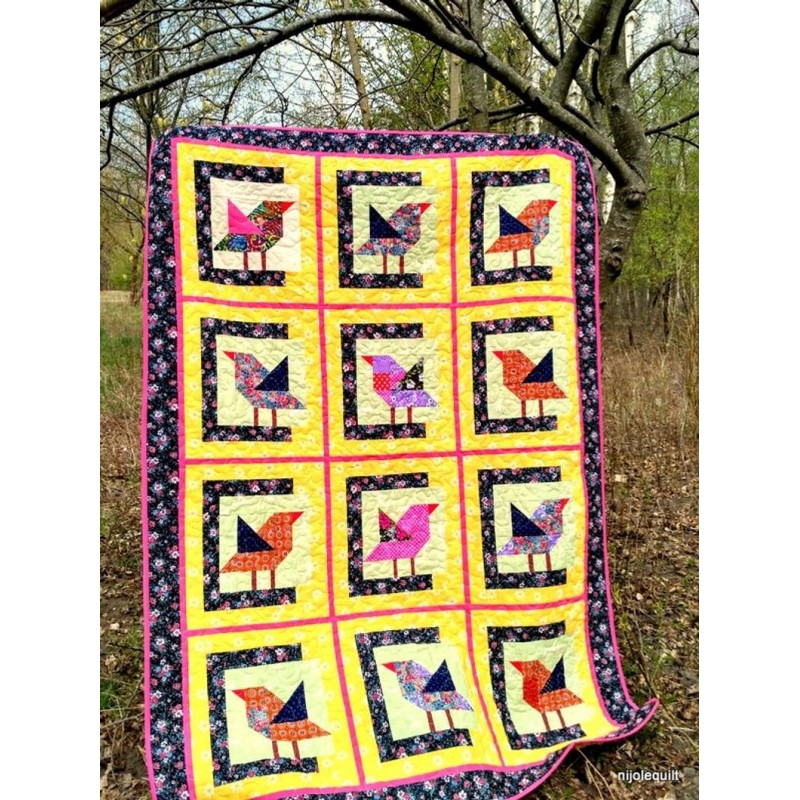 SKIAUTINIŲ PLEDAS PAUKŠTELIAI