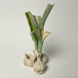 Dėkliukas servėtėlėms ir dantų krapštukams