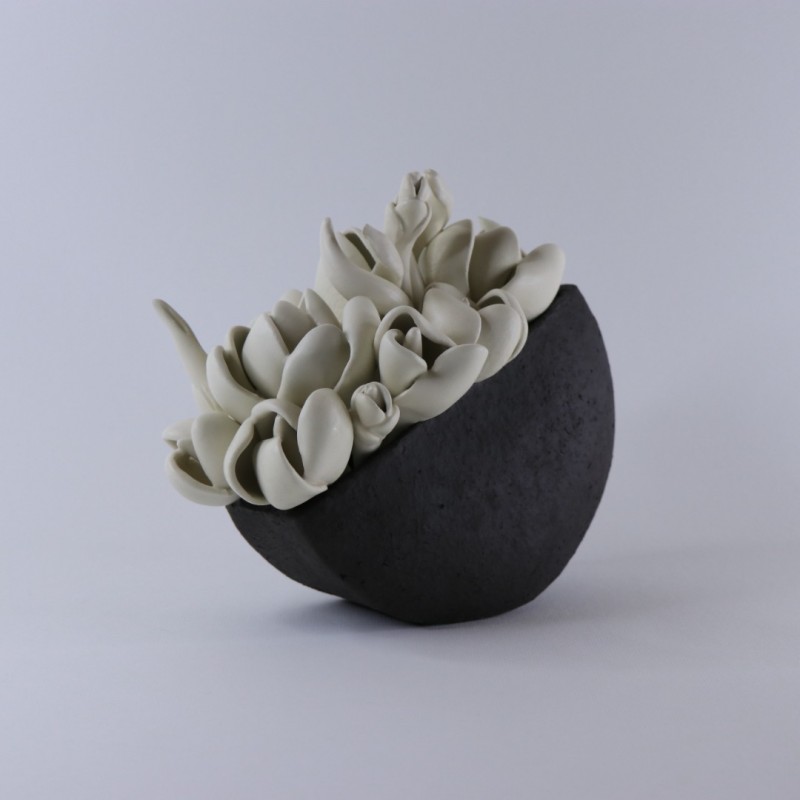 Balti žiedai Balti žiedai