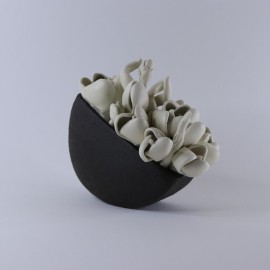 Balti žiedai Balti žiedai