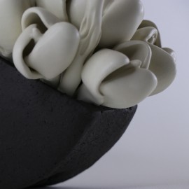 Balti žiedai Balti žiedai