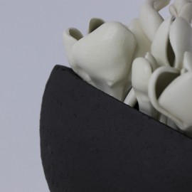 Balti žiedai Balti žiedai