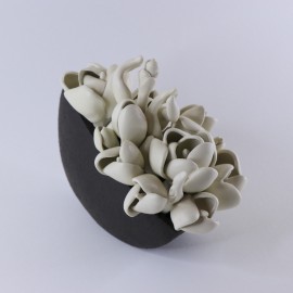 Balti žiedai Balti žiedai