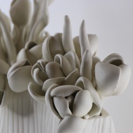 Baltas sniegas Baltas sniegas