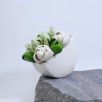 Žalioji meilė Žalioji meilė