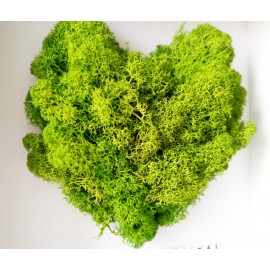 Dovana - rėmelis su širdele (mieganti samana)