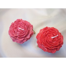 Žvakės Bijūnai 2 vnt. dėžutėje