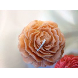 Žvakės Bijūnai Žvakės Bijūnai