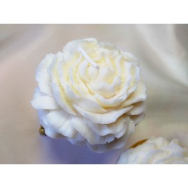 Žvakės Bijūnai Žvakės Bijūnai