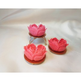 Žvakės širdelės gėlės