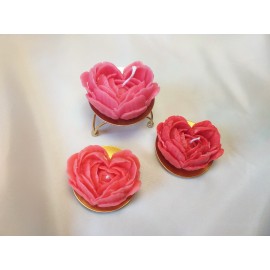 Žvakės širdelės gėlės