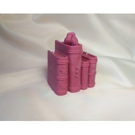 Žvakė dovana " Knygos"