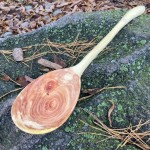 Medinis šaukštas Medinis šaukštas