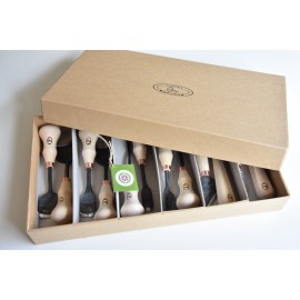 Medžio drožybos įrankių rinkinys 12 vnt.