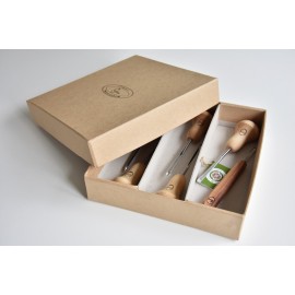 Medžio drožybos rėžtukų rinkinys / Lino raižinių rėžtukų rinkinys 6 vnt. 