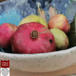 Didelis dubuo „Pievos palytėtas“